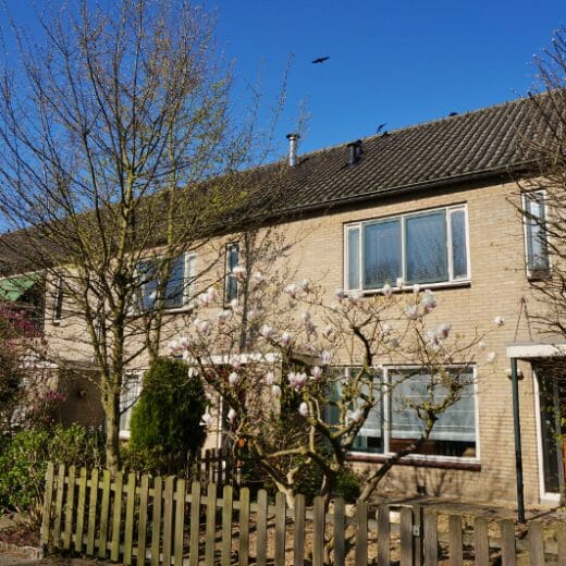 Kringloop, Amstelveen, Nederland