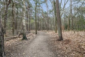 Prinses Alexialaan, Zeist, Nederland