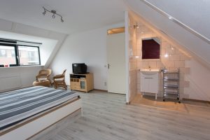 Graaf Willem II laan, Delfgauw, Nederland