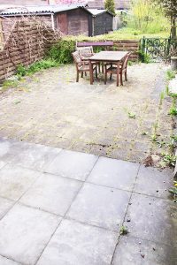 Melkkruid, Purmerend, Nederland