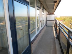 Geelgorslaan, Bilthoven, Nederland