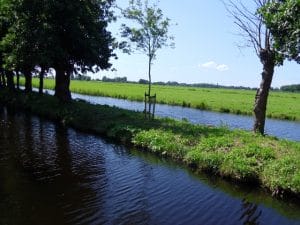 Watertuin, Wilnis, Nederland